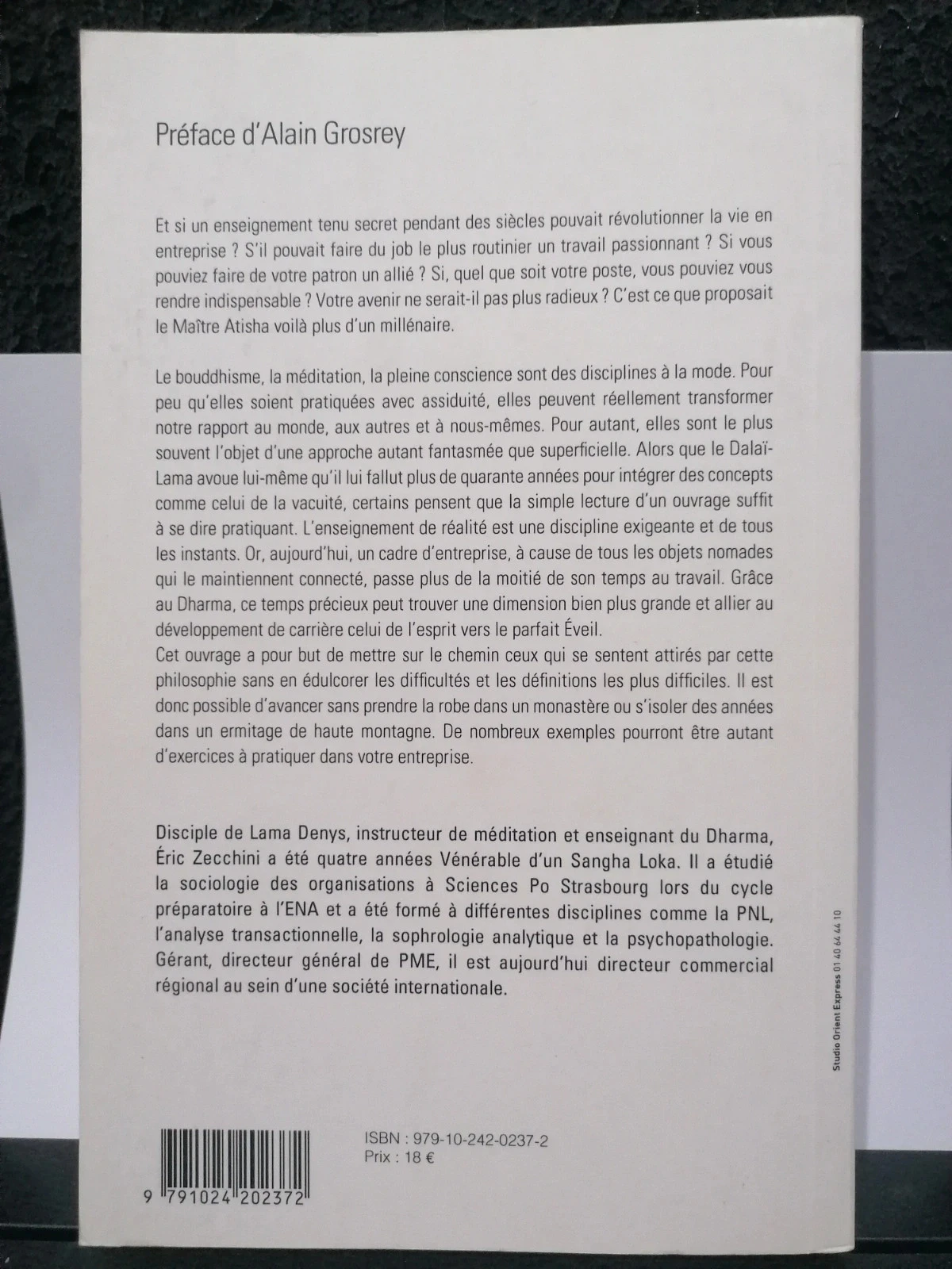 O espírito do budismo na empresa – photo 2